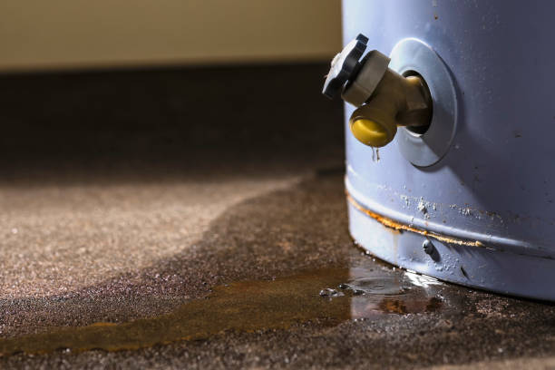 Best 24/7 water damage repair  in Rangely, CO
