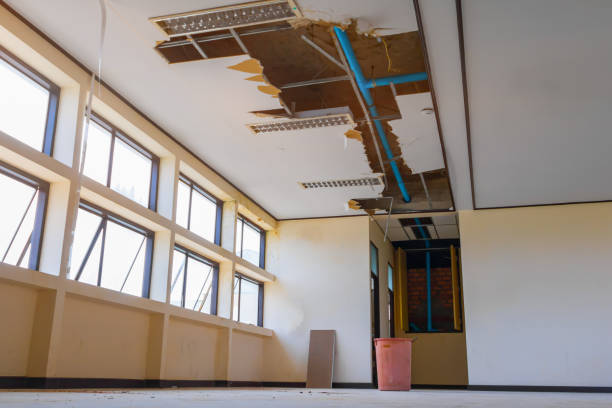 Best Carpet water damage restoration  in Rangely, CO