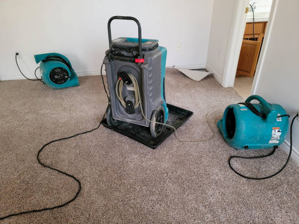 Best 24/7 water damage repair  in Rangely, CO