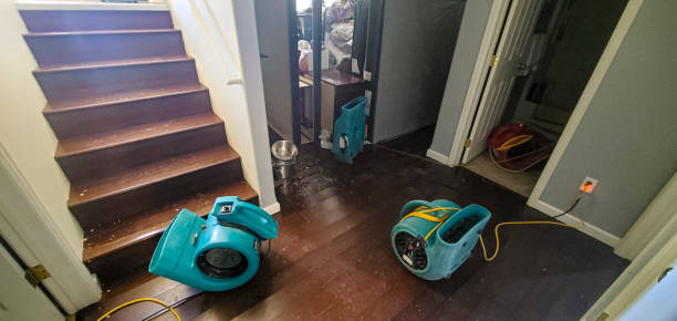 Best Flood restoration services  in Rangely, CO
