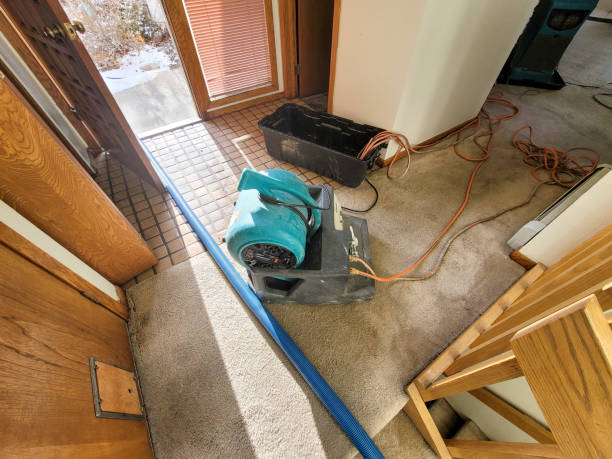 Best Water damage restoration specialists  in Rangely, CO
