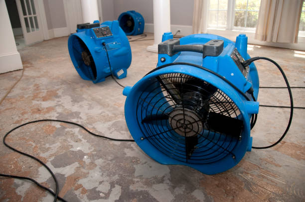 Best Local water damage restoration  in Rangely, CO