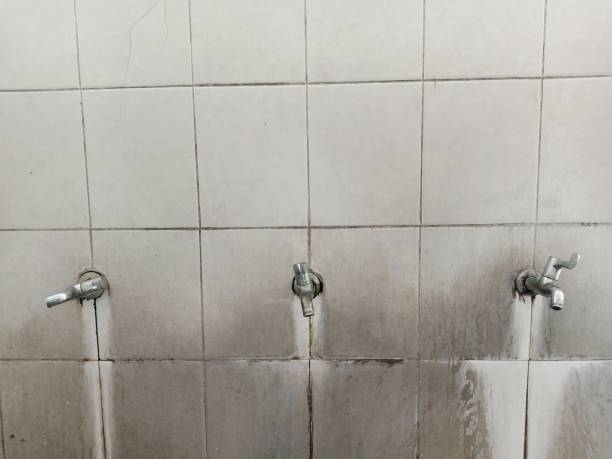 Best Commercial water damage restoration  in Rangely, CO
