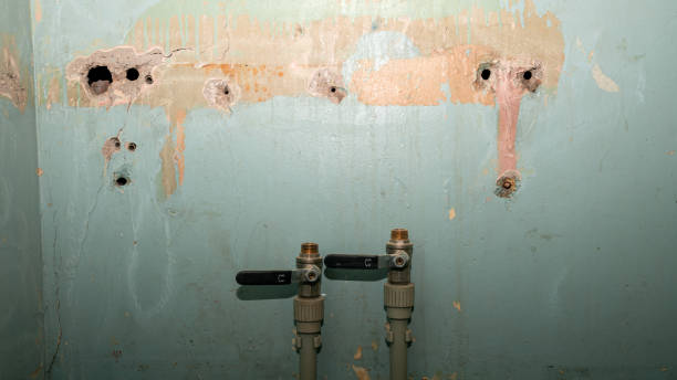 Best Carpet water damage restoration  in Rangely, CO
