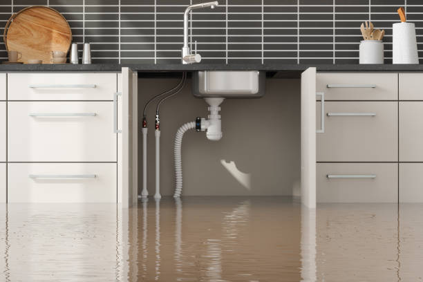 Best Flood damage cleanup  in Rangely, CO